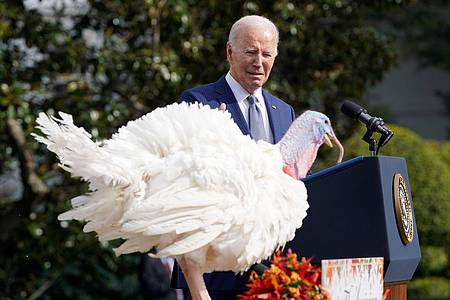 Joe Biden begnadigt die Thanksgiving-Truthähne «Liberty» und «Bell».