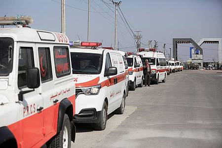 Krankenwagen im Gazastreifen, bevor sie nach Ägypten fahren.