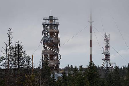 Blick auf den Harzturm neben abgestorbenen Fichten und Sendemasten.