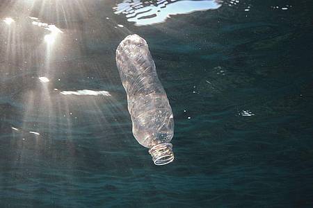 Eine weggeworfene Plastikflasche treibt im Roten Meer vor Ägypten.